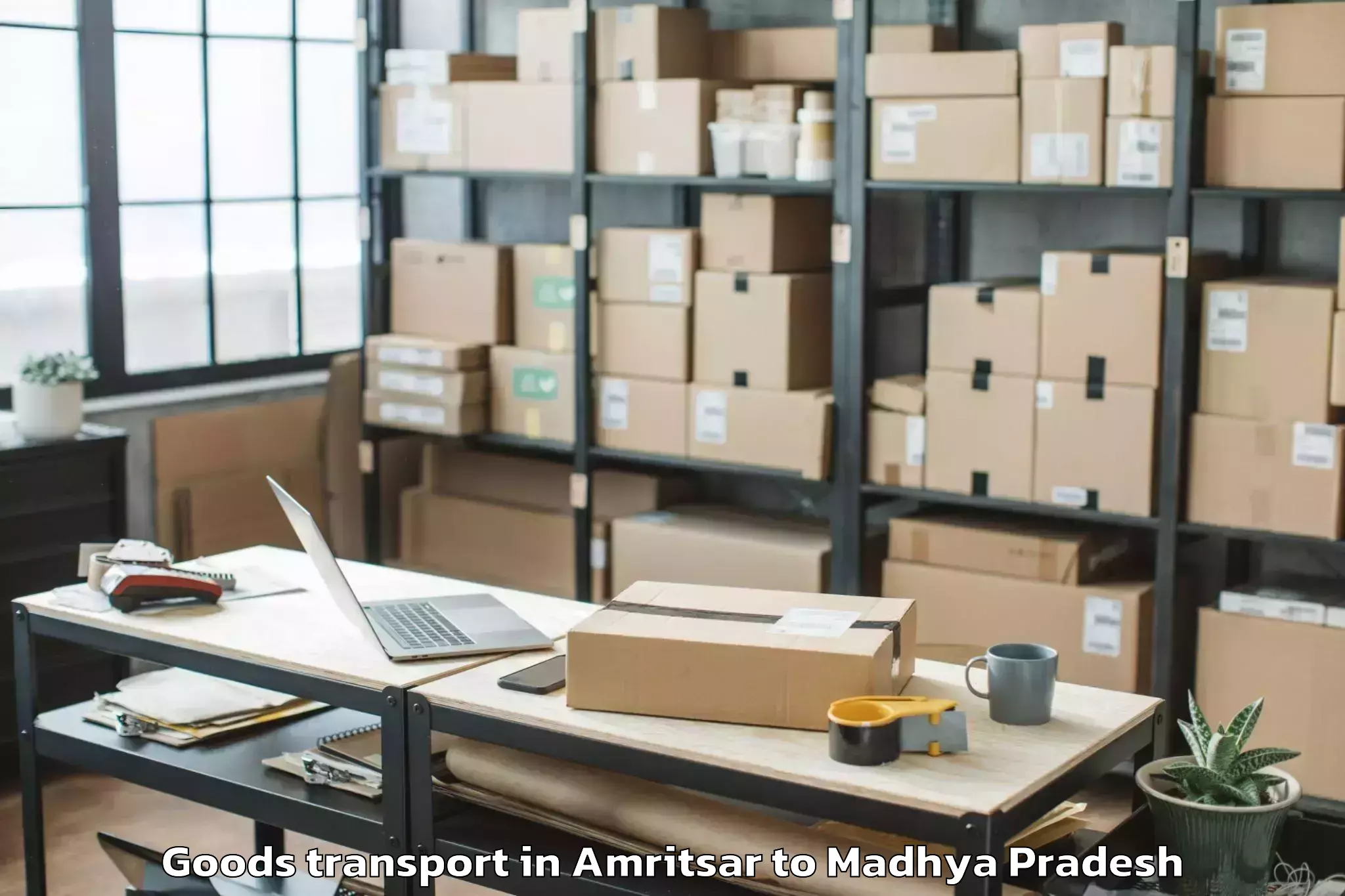 Top Amritsar to Porsa Goods Transport Available